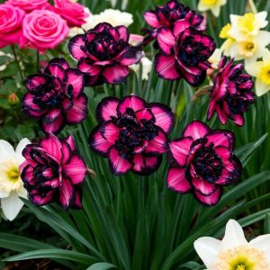 Нарцисс Золотая Корона купить по цене от 2000р. в интернет-магазине «Посадика» с доставкой почтой в в Ханты-Мансийске и по всей России – [изображение №1].